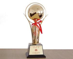 山东省泰山杯