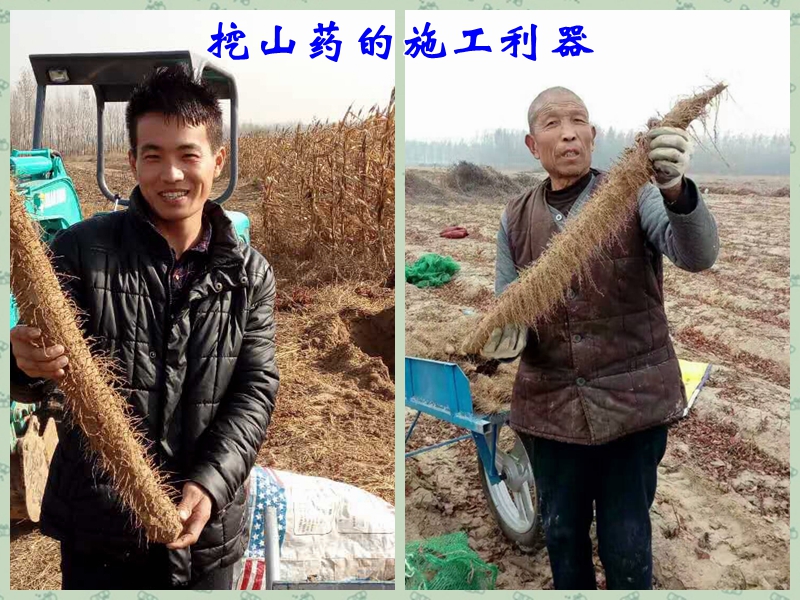 小挖掘机